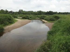 Бойня