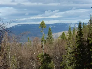 Южно-Уральский заповедник
