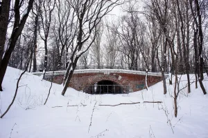 Садовый мостик малый (гротескный) (Якиманка)