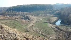 Мышега