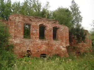 Дом господский (Брынь)