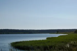 Круглое