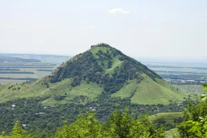 Шелудивая