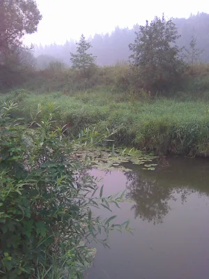 Локнаш