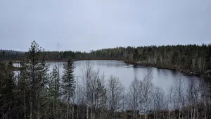 Нижнее Котозеро