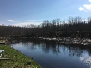 Коломенка