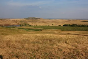 Караелга