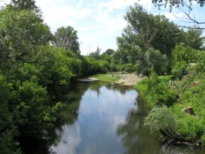 Кураган