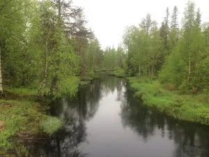Конди
