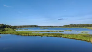 Тиницкое