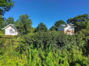 Царская мельница