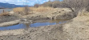 Нижняя Берёзовка (стоянка)