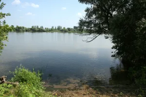 Камызяк