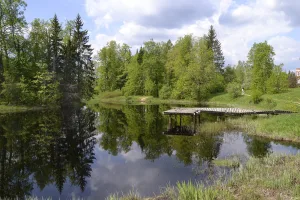 Парк с прудом (35 га) (Лисино-Корпус)
