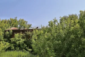 Жилой дом (Вагай)