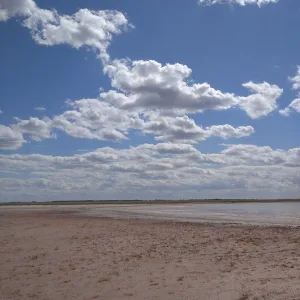 Шукыртуз