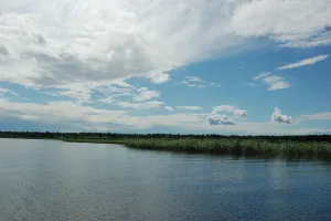 Воже