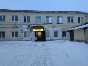 Двухэтажный дом Михайловых (Чаплыгин)