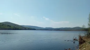 Белое