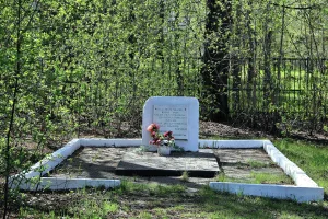Место расстрела белогвардейцами политзаключенных в старом питомнике (Омск)