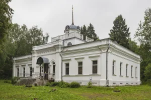 Петровский дворец (Веськово)