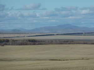 Куркак