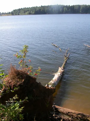 Рузское водохранилище