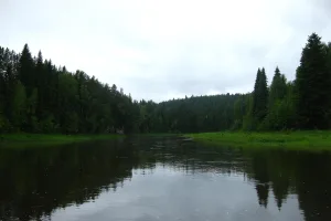 Межевая Утка