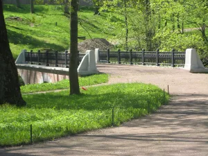 Мост (Ломоносов)