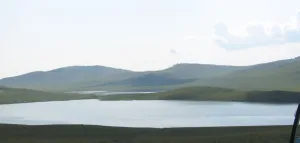 Матарак