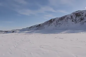Авам (приток Дудыпты)