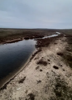 Зельмень