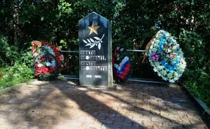 Братская могила советских воинов, погибших в борьбе с фашистами (Усадище (Усадищенское с/п))