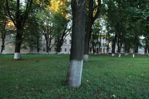 Парк (Марьина роща)