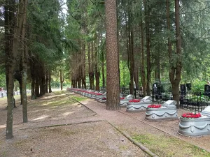 Братские захоронения на Северном кладбище (Санкт-Петербург)