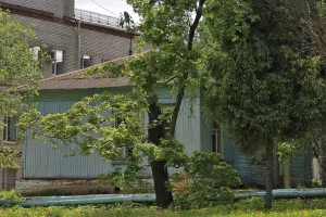 Инфекционное отделение (Гороховец)