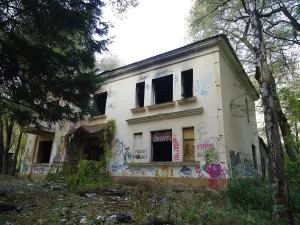 Жилой дом (Хабаровск)