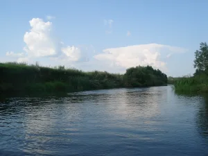 Пара