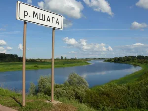 Мшага