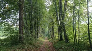 Парк