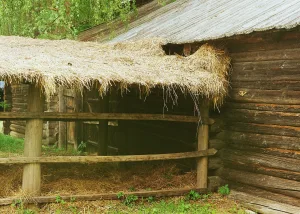 Рига из деревни Афатово Рамешковского района (Василёво)