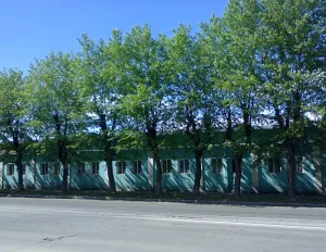 Торговые ряды (Череповец)