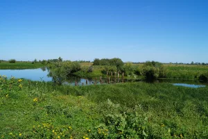 Кошкаргаиха