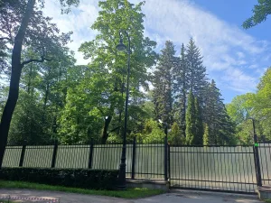 Участок парка