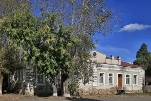 Магазин С.Д. Макарова, в котором в 1919-1923 гг. размещался штаб отряда ЧОН (Тара)