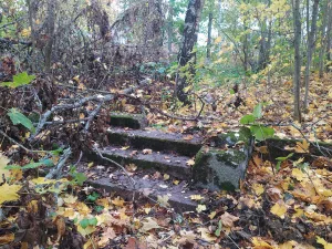 Усадьба Фредерикса «Таубила» (Плодовое)
