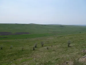 Грушевая