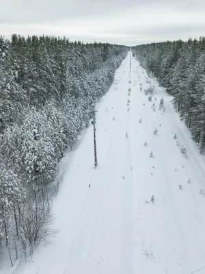 Семафор северный (Чагода)
