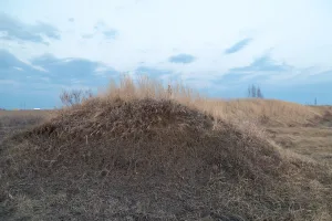 Татарский вал