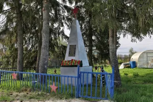 Братская могила борцов за установление Советской власти (Червишево)